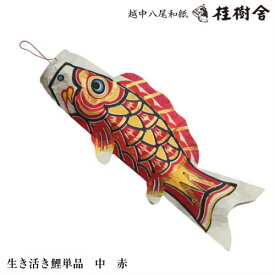 桂樹舎 071 鯉のぼり単品(中)　日本の心がこもる越中八尾の和紙