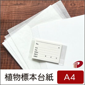植物標本台紙・ラベルセットA4サイズ（10枚入）/1セット 植物採集 夏休み 課題 自由研究キッド | 植物標本台紙 植物標本 台紙 自由研究 セット キット ラベル A4 紙 用紙 ペーパー サイズ 文具 文房具 業務用 家庭用 ギフト プチギフト 贈り物 プレゼント まとめ買い
