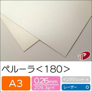 y[ 135 A3 LL p[ p vg | t@V[y[p[ y[p[Ntg l Lbg nhCh ޗ p[c s[X J[h h H  NCO  p