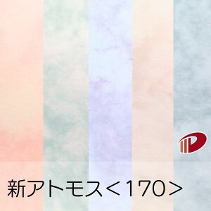 VAgX 170 A3 p vg t@V[y[p[ 嗝Ε }[u͗l | y[p[Ntg l Lbg nhCh ޗ p[c s[X J[h h H  NCO 