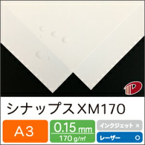 VibvX XM170 A3 10` | ϐ J J ɋ CK[h h hH  ͂ ͂ vg v^[ [U[ [U[v^[  p y[p[ TCY Ɩp ƒp