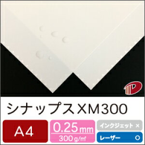 VibvX XM300 A4 10` | ϐ J J ɋ CK[h h hH  ͂ ͂ vg v^[ [U[ [U[v^[  p y[p[ TCY Ɩp ƒp