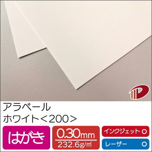 Ax[ zCg 200 ͂ 50 |  y[p[Ntg l Lbg p CNWFbg CNWFbgv^[ [U[ [U[v^[  p y[p[ TCY 