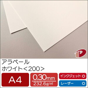 Ax[ zCg 200 A4 500 |  y[p[Ntg l Lbg p CNWFbg CNWFbgv^[ [U[ [U[v^[  p y[p[ TCY  