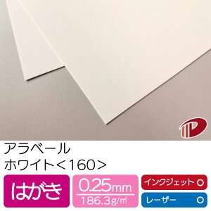 Ax[ zCg 160 ͂ 50 |  y[p[Ntg l Lbg p CNWFbg CNWFbgv^[ [U[ [U[v^[  p y[p[ TCY 