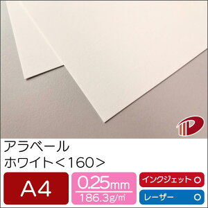 Ax[ zCg 160 A4 50 |  y[p[Ntg l Lbg p CNWFbg CNWFbgv^[ [U[ [U[v^[  p y[p[ TCY  [