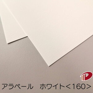Ax[ zCg 160 A4 50` |  y[p[Ntg l Lbg p CNWFbg CNWFbgv^[ [U[ [U[v^[  p y[p[ TCY  