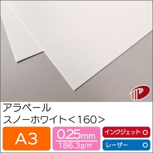 Ax[ Xm[zCg 160 A3 500 | zCg  y[p[Ntg l Lbg p CNWFbg CNWFbgv^[ [U[ [U[v^[  p y[p[ 
