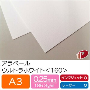 Ax[ EgzCg 160 A3 100 | zCg  y[p[Ntg l Lbg p CNWFbg CNWFbgv^[ [U[ [U[v^[  p y[p