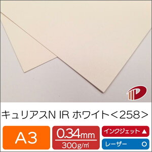 LAXN IRzCg258 A3 | p vg LL t@V[y[p[ y[p[Ntg l Lbg nhCh ޗ p[c s[X J[h h H uC_  p y