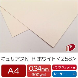 LAXN IRzCg258 A4 | p vg LL t@V[y[p[ y[p[Ntg l Lbg nhCh ޗ p[c s[X J[h h H uC_  p y