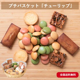 焼き菓子 詰め合わせ 9袋 51個 お菓子 ギフト バスケット フロランタン フィナンシェ サブレ マカロン ラスク 常温 贈り物 ハロウィン お礼 お祝い プレゼント 誕生日 お洒落 素材 手作り 【プチバスケット『チューリップ』】