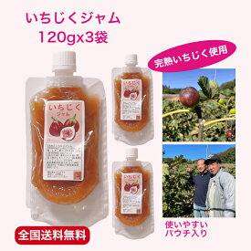 【スーパーSALE割引商品】 いちじく ジャム パウチ 3袋 完熟 国産 お試し 自宅用 プチギフト 手作り 素材