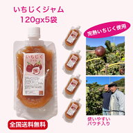 いちじく ジャム パウチ 5袋 完熟 国産 お試し 自宅用 プチギフト 手作り 素材 ソーシャルギフト