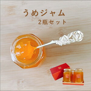 ~  W 2r Zbg Y Mtg XC[c 蕨  j v[g a ̓ ̓  Ε  f y߃W2rZbgz