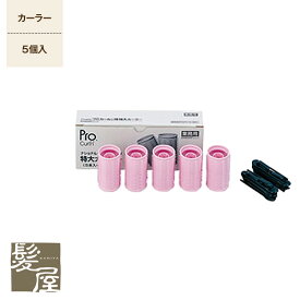 【LINE登録で300円クーポン】パナソニック ホットカーラープロカールン EH-9035-P05（ピンク）ローラー特大5個入り 美容院専売