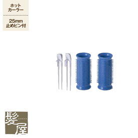 【LINE登録で300円クーポン】アイビル ホットカーラー 2個 （25mm） 美容院専売