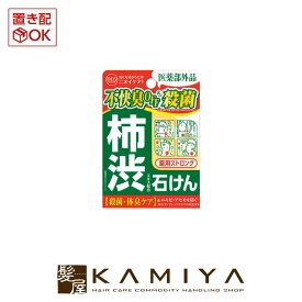 【LINE登録で300円クーポン】コスメテックスローランド 柿渋エキス配合石けん 100g 薬用ストロング 美容院専売