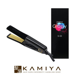 �yLINE�o�^��300�~�N�[�|���zSI-25 �X�g���[�g�A�C���� �O���b�V�[|25mm �X�g���[�g�w�A�A�C���� �X�g���[�g�w�A�[�A�C���� �X�g���[�g �w�A�A�C���� �w�A�[�A�C���� �A�C���� �u���b�N �� ���