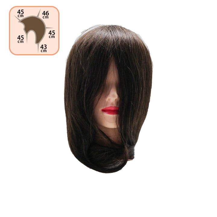 カットウィッグ アリス ハチ周り 約54cm 人毛100%|ヘアカット カット練習 マネキン セット練習用 マネキン 練習用 マネキン ヘッド 新人 研修 トレーニング ヘアケア サロン専売 美容室専売 美容院 美容師 おすすめ 人気 ... クランプ JP|ホルダー ヘアカット カット練習 マネキン セット練習用 マネキン 練習用 マネキン ヘッド 新人 研修 トレーニング ヘアケア サロン専売 美容室専売 美容院 美容師 おすすめ 人気 ランキング クチコミ 女性 男性