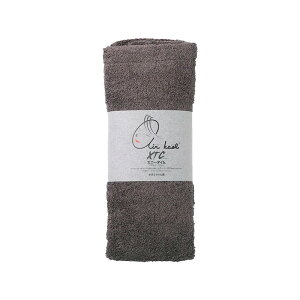 ���Q�� �G�A�[������ �G�N�X�^�V�[ �G�j�[�^�C���^�I�� �V���o�[ 34×120cm