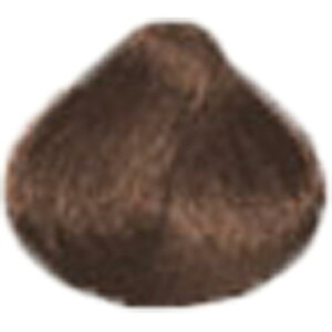 yLINEo^300~N[|zX[p[~IwA[ 25g|NO.1ubN NO.2_[NuE NO.23~fBAuE NO.3CguE NO.11O[ NO.15zCg wAPA Tꔄ eꔄ 