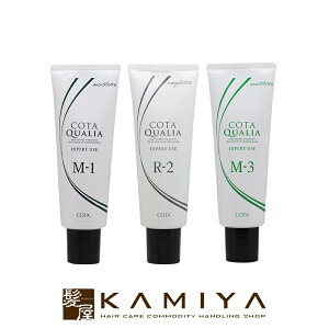 モイスチャートリートメント ヘアトリートメント パック 通販 価格比較 価格 Com