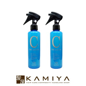 【LINE登録で300円クーポン】エルコス CMCケアミスト エイド 200ml×2個セット(洗い流さないトリートメント) 美容院専売