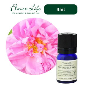 yLINEo^300~N[|zt[o[Ct GbZVIC [YEIbg[ 3ml|t[ [Y ؂₩ i Â A} VR 100%  GbZV  F IC 