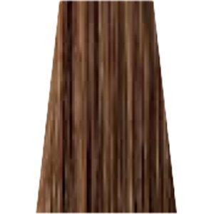 yLINEo^300~N[|z~Ar[eB[ [`FgRX uEeBg I[NuE wA}jLA 150g|J[ Ɩp wAJ[  Oc/L Oc/M Oc/D J[O 