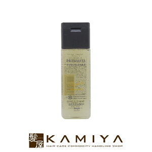 【LINE登録で300円クーポン】ホーユー プロフェッショナル プロマスター カラーケア スタイリッシュ シャンプー 250ml|hoyu professional ホーユー プロマスターカラー ホーユーシャンプー ホーユー
