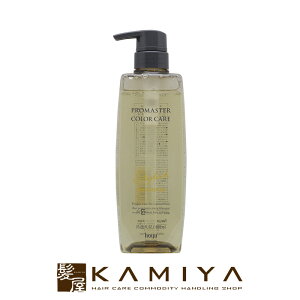 【LINE登録で300円クーポン】ホーユー プロフェッショナル プロマスター カラーケア スタイリッシュ シャンプー 600ml|hoyu professional ホーユー プロマスターカラー ホーユーシャンプー ホーユー