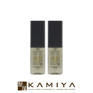 【LINE登録で300円クーポン】ホーユー プロフェッショナル プロマスター カラーケア スタイリッシュ アウトバストリートメント シャイン 80ml×2個セット|hoyu professional ホーユー プロマスター