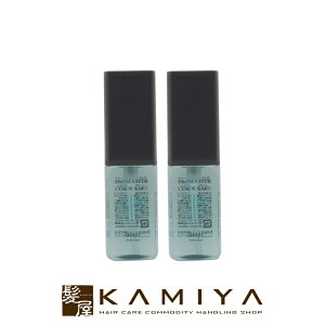 【LINE登録で300円クーポン】ホーユー プロフェッショナル プロマスター カラーケア カーミー アウトバストリートメント シャイン 80ml×2個セット|hoyu professional ホーユー プロマスターカラー