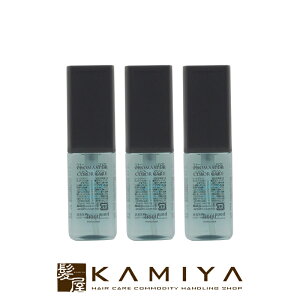 【LINE登録で300円クーポン】ホーユー プロフェッショナル プロマスター カラーケア カーミー アウトバストリートメント シャイン 80ml×3個セット|hoyu professional ホーユー プロマスターカラー