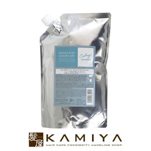 yLINEo^300~N[|zz[[ vtFbVi v}X^[ J[PA J[~[ Vv[ 1000ml l֗p|hoyu professional z[[ v}X^[J[ z[[Vv[ z[