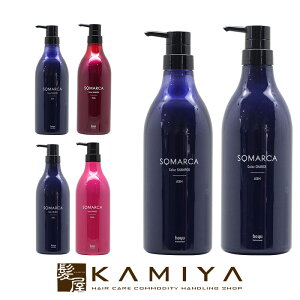 ヘアカラー用 シャンプー シャンプーの人気商品 通販 価格比較 価格 Com