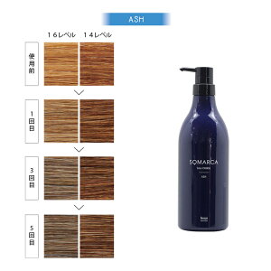 yLINEo^300~N[|zz[[ \}J J[`[W 750g Ɩp×3Zbg|sN AbV J[ wAJ[ u[` F ΂ _[WPA g[gg J[g[g