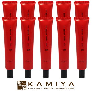 【LINE登録で300円クーポン】ルベル イオ セルケア 5M メルト 40ml×10個セット|硬毛用 lebel iau 潤う しっとり まとまる ダメージケア トリートメント リペア 修復 補修 保護 ハイダメージ エクス