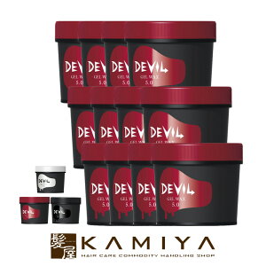 yLINEo^300~N[|zb-ex b^ fr WFbNX/[[ 240g×12Zbg|gx[l r[eB[GNXyGX devil 5.0 7.0 10.0 wA[WF wA WF wAbNX 