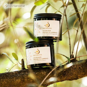 yLINEo^300~N[|zNECTAROME lN^[ ubN\[v T{m[ I[uIC[J 200g|GCWOPA _[WPA N N  C C ی X 