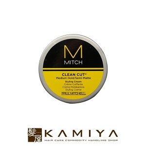 yLINEo^300~N[|z|[~b`F ~b` N[Jbg 85g PAULMITCHELL e@ꔄ