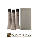 【LINE登録で300円クーポン】セフティ グリジオカラー1剤 60g×3【チェスナットウォーム】|セフテイ カラー剤 美容院専売