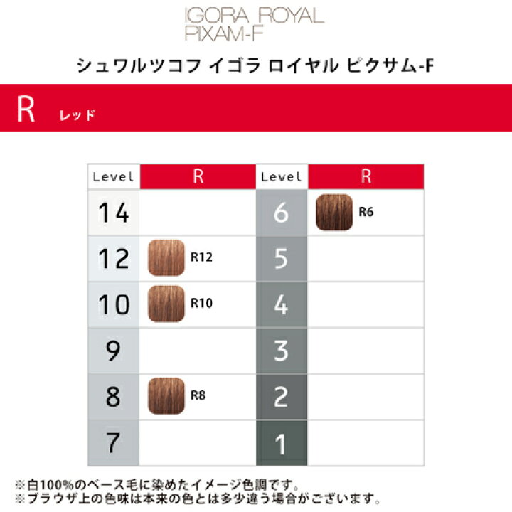 楽天市場】【LINE登録で300円クーポン】シュワルツコフ イゴラ 