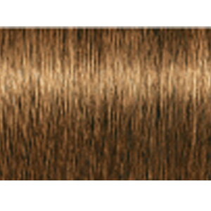 yLINEo^300~N[|zVcRt t@Co[vbNXJ[ t@bVJ[ X^_[hVF[h j[g 80g|J[ N14fp N10fp N8fp N4fp  p OCwA 