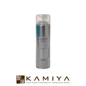 yLINEo^300~N[|zvtFbVi fUCtbNX X^[Xv[ 215g|shiseido professional design flex X^CO Xv[ X^COXv[ wAPA T