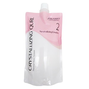 yLINEo^300~N[|z vtFbVi NX^CWO L[ 2 400g|shiseido professional [V G}W lߑւ tB pE` p[}t p[} J[