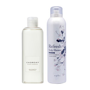 yLINEo^300~N[|zĂ̓N[_E iCgPAZbg|n RXeBbNX JIfC r[Vv[ 300ml caorday JIfB JIf[ mVR  L 