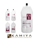 【LINE登録で300円クーポン】サンコール ハーバルオキシ 2剤 1000ml|suncall レフィル パウチ カラー剤 業務用 白髪染め ヘアカラー かくし 隠し ポイント アクセント インナーカラー ダブルカラー ヘアケア サロン専売 美容室専売 美容院専売 美容師 おすすめ