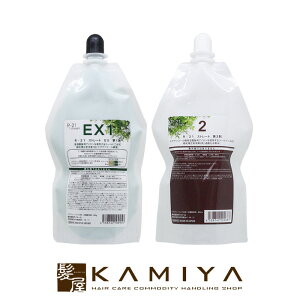 【LINE登録で300円クーポン】サンコール R-21 ストレート EX 1剤 400g+2剤 400ml 計2個セット|R-21ストレートEX1 R-21ストレート ストレートEX1 EX1 R-21ストレート2剤 ストレート2剤 硬毛 硬い髪 クセ毛